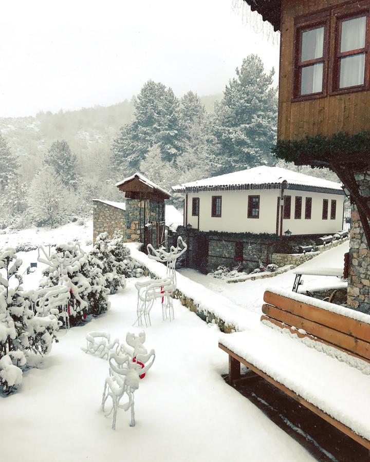 Macedonian Village Hotel & Resort Szkopje Kültér fotó